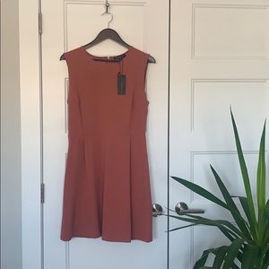 Dynamite Office Wear Mini Dress